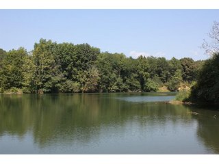 Property photo 78 - 419 +/- Acres offered in 6 Tracts, Land Auction